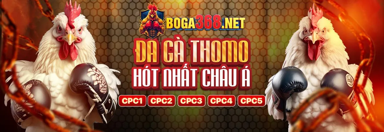 Hỗ trợ và câu hỏi thường gặp về đối tác 888d nhà cái