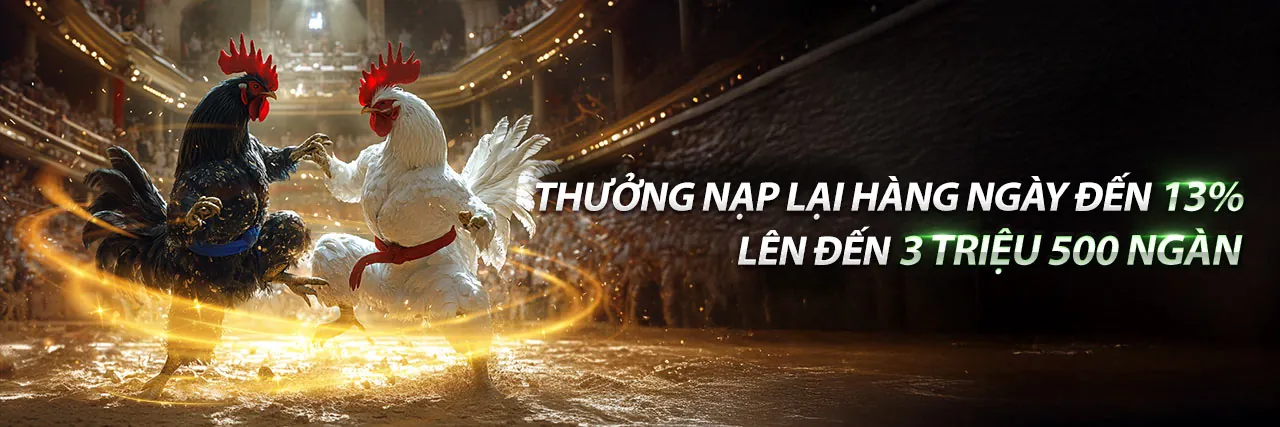 Sân đấu đá gà trực tuyến 888d nhà cái