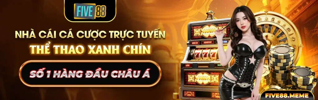 888d nhà cái – Nền tảng cá cược trực tuyến hàng đầu Việt Nam